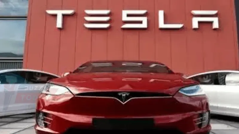 tesla-dream-job-indian-graduate-tips