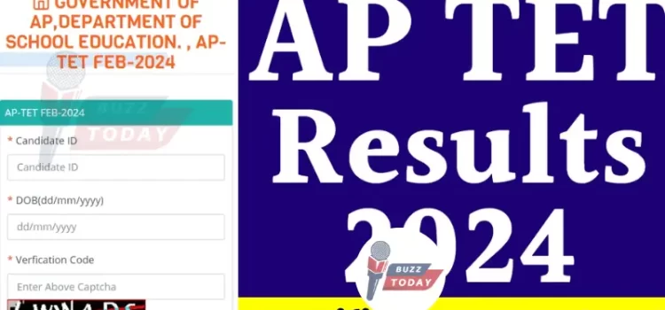 AP TET Results 2024: ఫలితాలు విడుదల