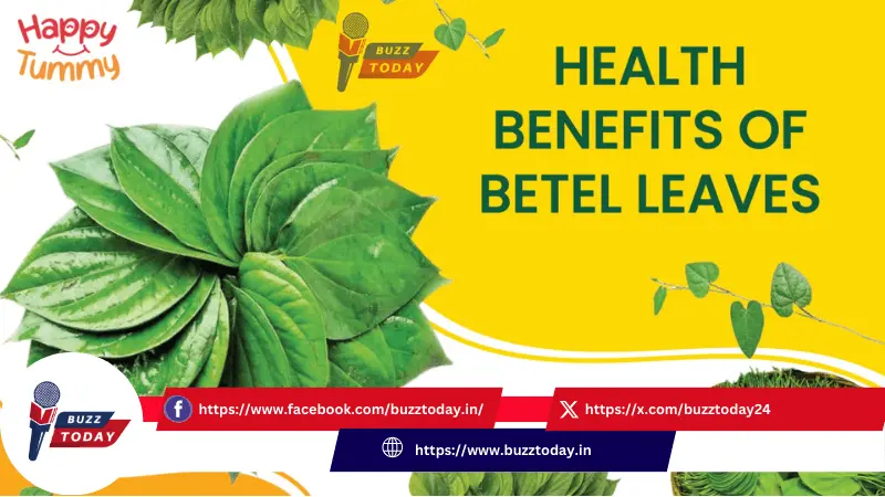 how-to-consume-betel-leaves-for-health-benefits