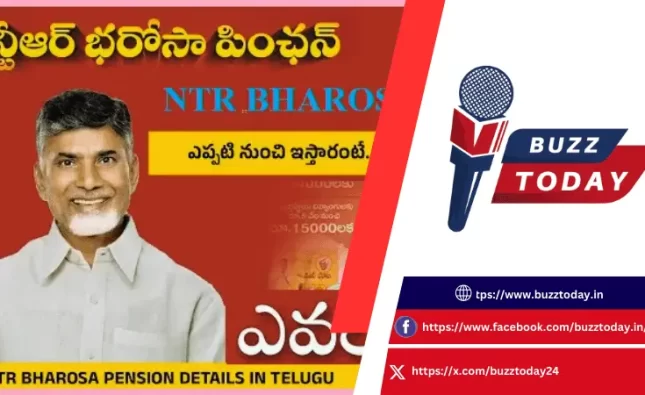 ntr-bharosa-pension-widow-guidelines-ap-government