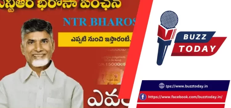 ఎన్టీఆర్ భరోసా పింఛన్ : వితంతు పెన్షన్ మంజూరుకు ఏపీ సర్కార్ కీలక ఆదేశాలు