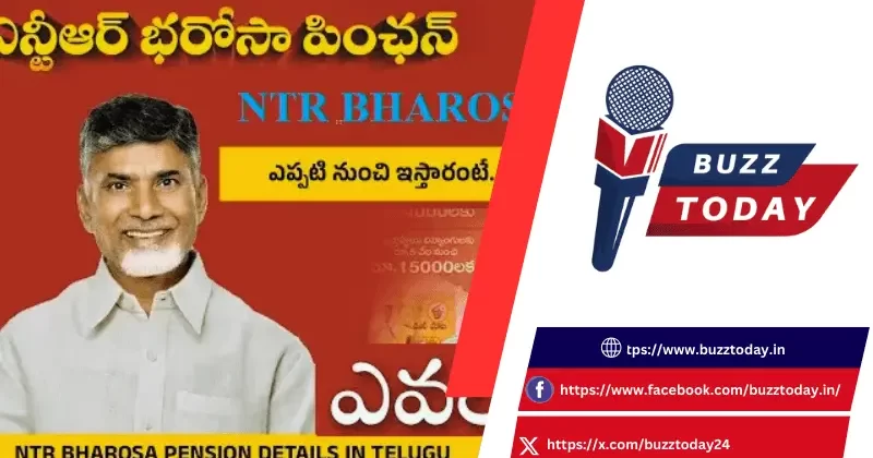 ఎన్టీఆర్ భరోసా పింఛన్ : వితంతు పెన్షన్ మంజూరుకు ఏపీ సర్కార్ కీలక ఆదేశాలు