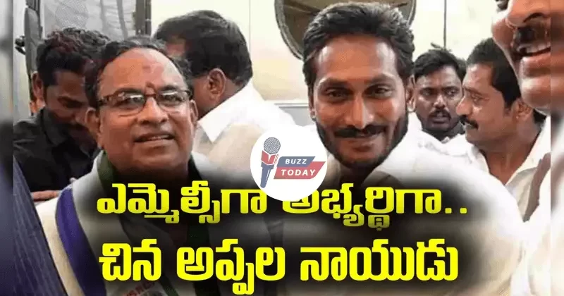 ys-jagan-announces-candidate-visakhapatnam-local-body-mlc-elections-november-28-polling