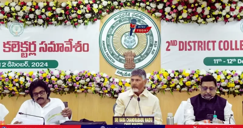 AP Welfare Pensions: అనర్హులకు పెన్షన్లు తొలగించాలని సీఎం చంద్రబాబు ఆదేశాలు