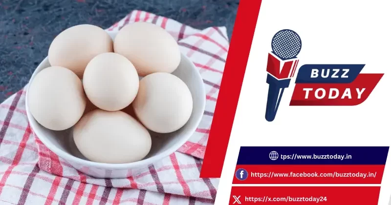 AP Eggs Scam: అంగన్‌వాడీ గుడ్ల దందా – పొరపాటు ఎక్కడ?