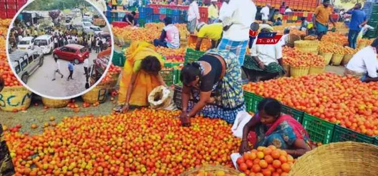 టమాటా, మిర్చి ధరలు పడిపోవడంతో రైతుల ఆందోళనలు తీవ్రం!